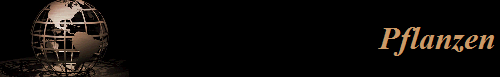 Pflanzen